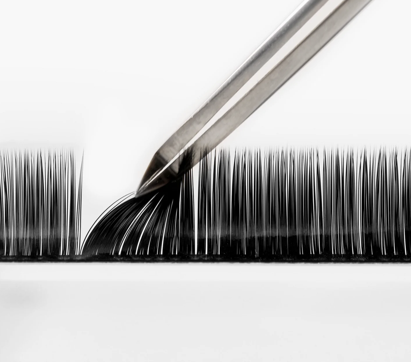 O.G. Lashes: Volume Single-Length