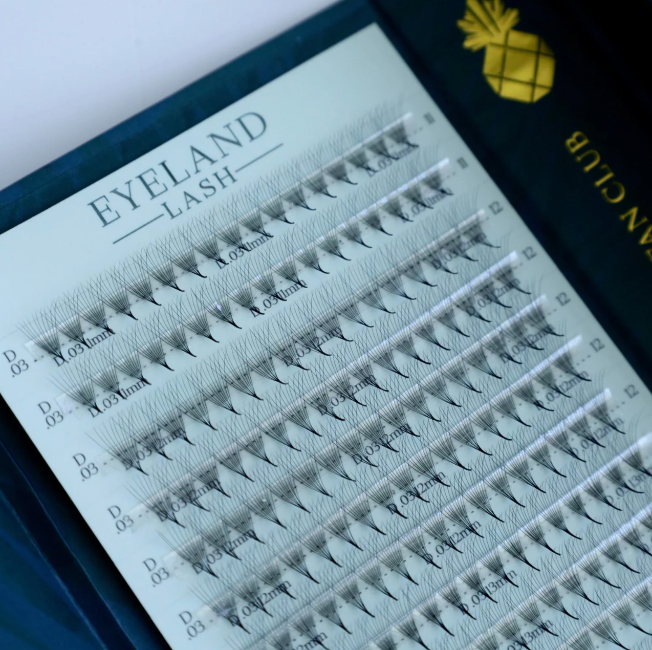 Volume Lashes