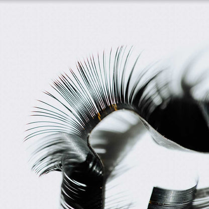 Luxury Menage A Trois Volume Lash Extensions