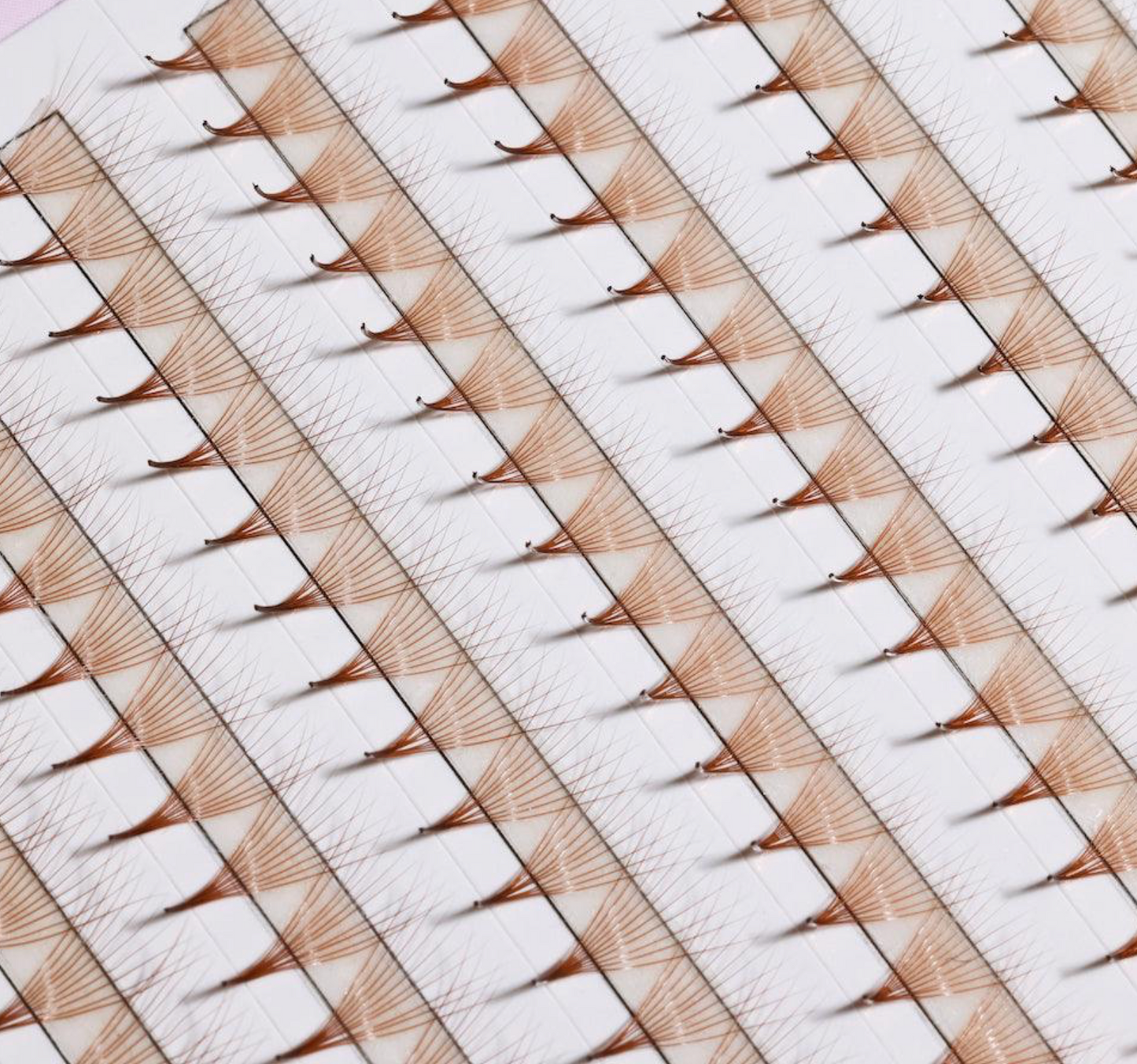 The Bold Collection: Brown Mix 10D ProMade Fans