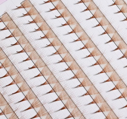 The Bold Collection: Brown Mix 10D ProMade Fans