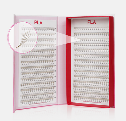 The Bold Collection: Brown 5D ProMade Fans