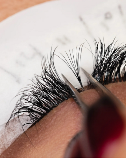 O.G Lashes: Pre-Made Fans