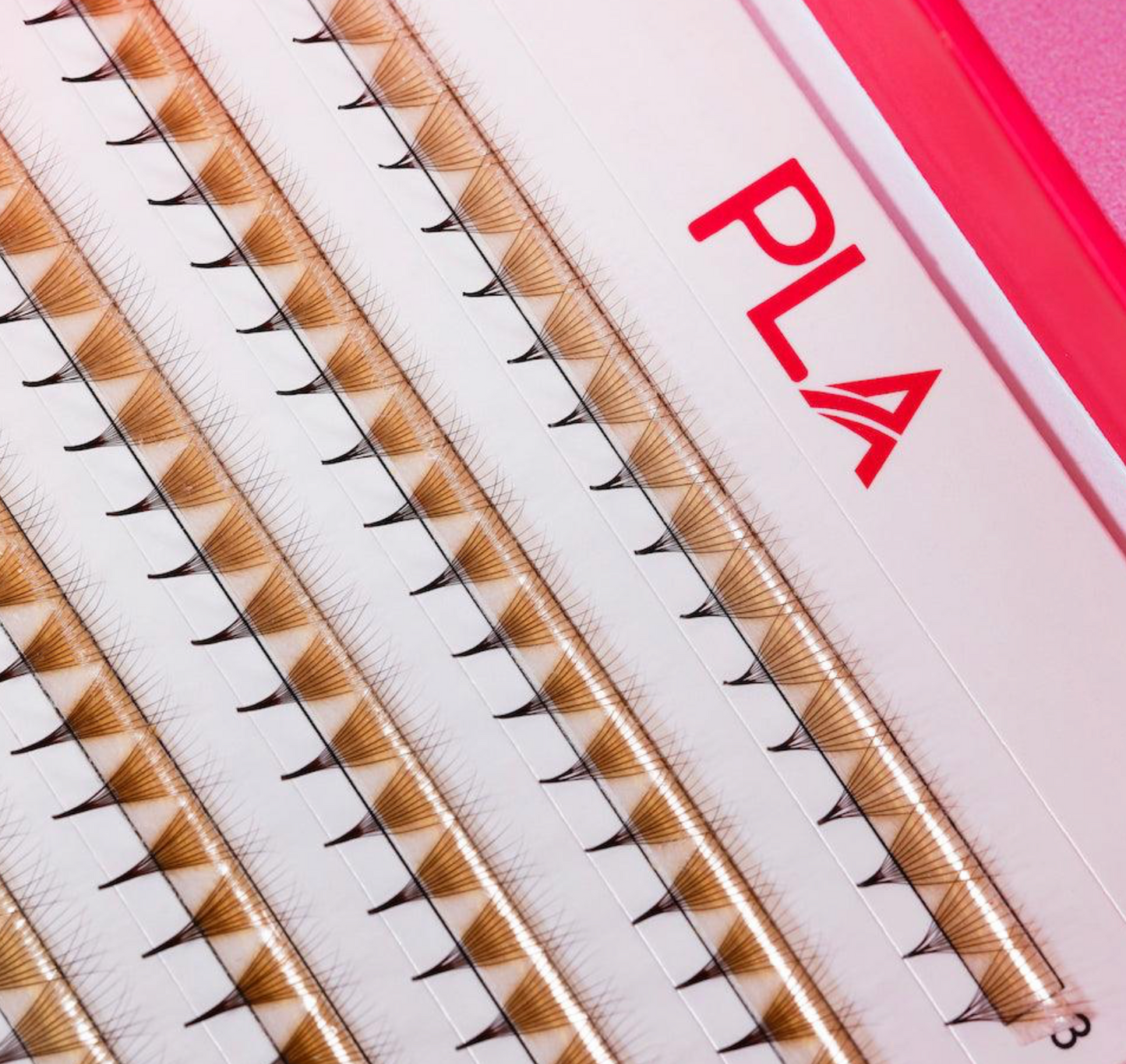 The Bold Collection: Brown Mix 10D ProMade Fans