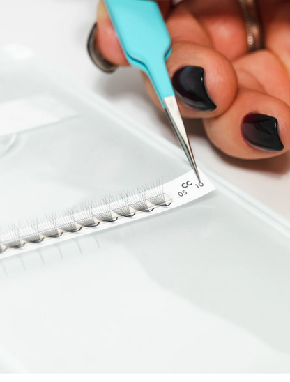 O.G Lashes: Pre-Made Fans