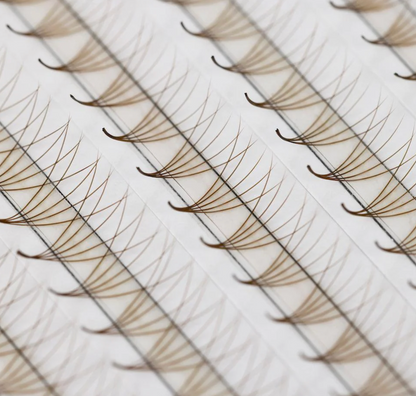 The Bold Collection: Brown 5D ProMade Fans